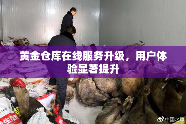 黄金仓库在线服务升级，用户体验显著提升