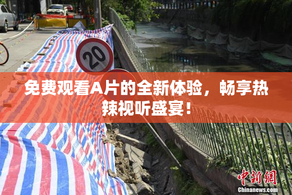 免费观看A片的全新体验，畅享热辣视听盛宴！