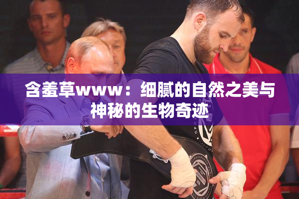 含羞草www：细腻的自然之美与神秘的生物奇迹