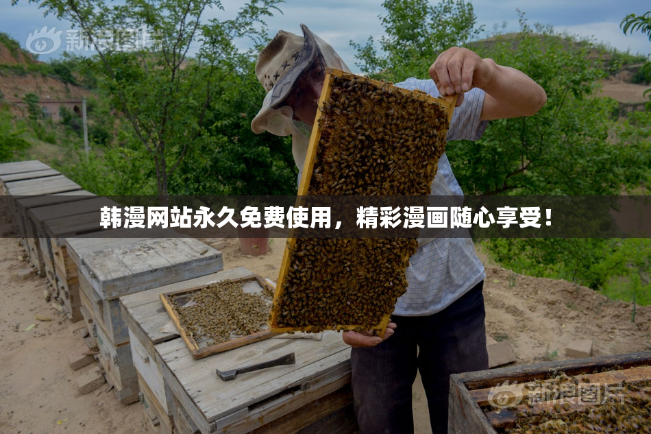 韩漫网站永久免费使用，精彩漫画随心享受！
