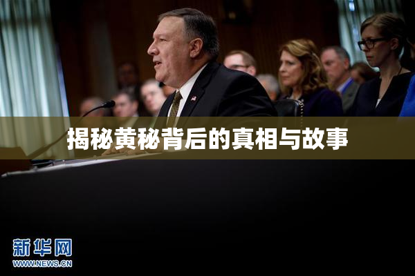 揭秘黄秘背后的真相与故事