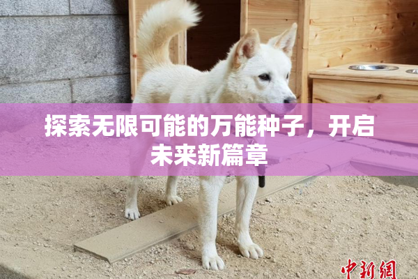 探索无限可能的万能种子，开启未来新篇章