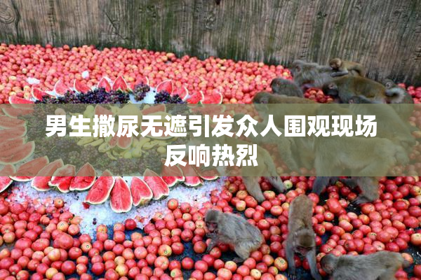 男生撒尿无遮引发众人围观现场反响热烈