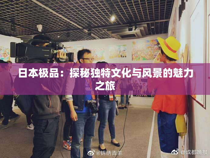日本极品：探秘独特文化与风景的魅力之旅