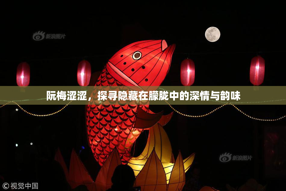 阮梅涩涩，探寻隐藏在朦胧中的深情与韵味