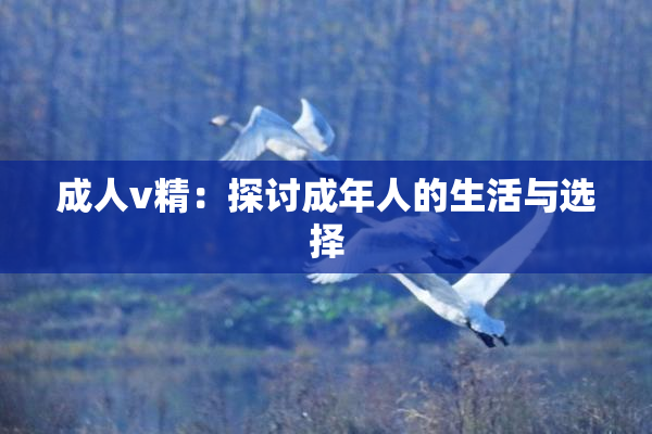 成人v精：探讨成年人的生活与选择
