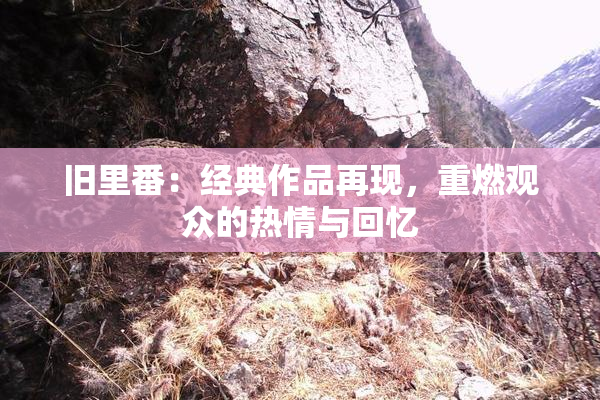 旧里番：经典作品再现，重燃观众的热情与回忆