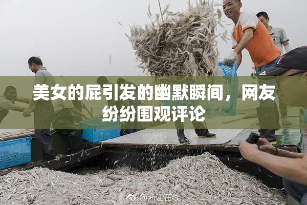 美女的屁引发的幽默瞬间，网友纷纷围观评论