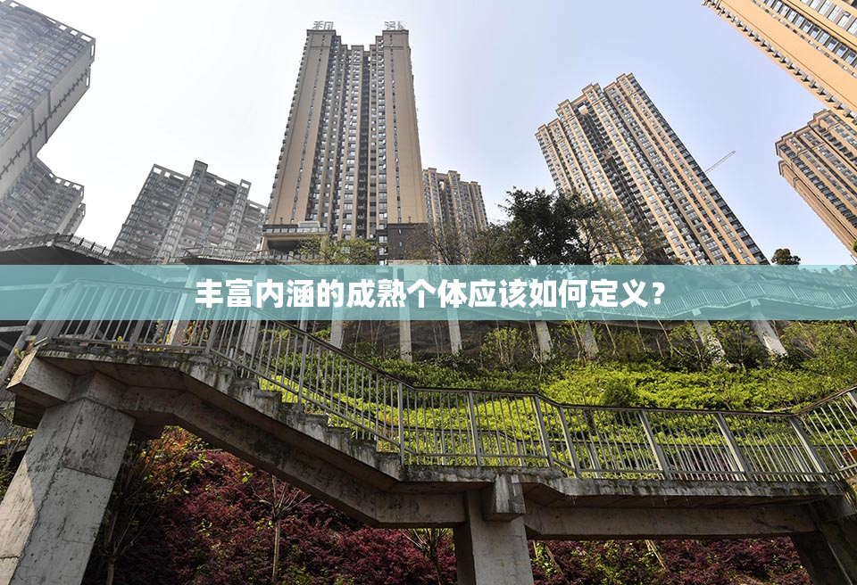 丰富内涵的成熟个体应该如何定义？