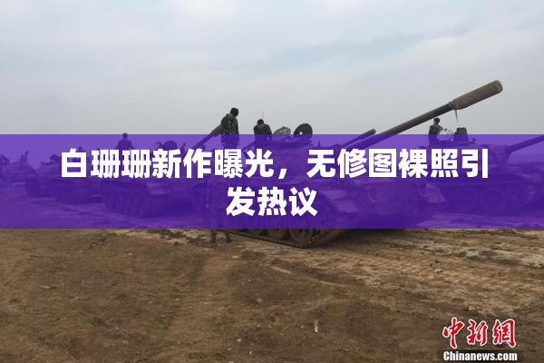 白珊珊新作曝光，无修图裸照引发热议