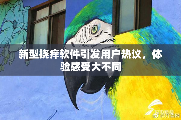 新型挠痒软件引发用户热议，体验感受大不同