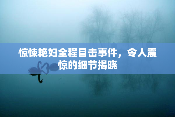 惊悚艳妇全程目击事件，令人震惊的细节揭晓