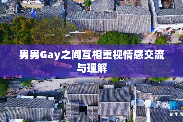 男男Gay之间互相重视情感交流与理解