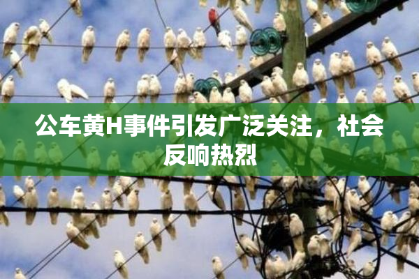 公车黄H事件引发广泛关注，社会反响热烈
