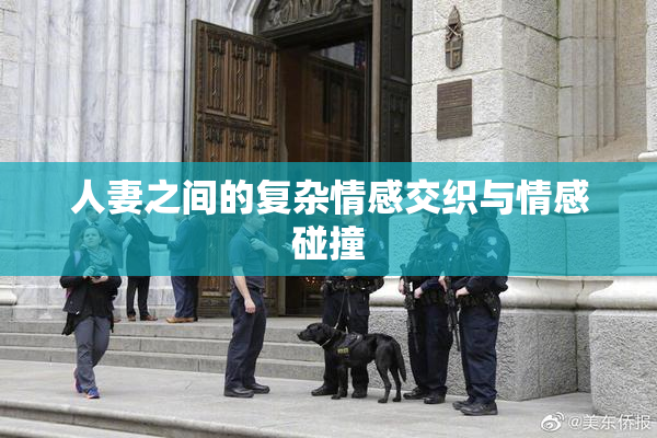 人妻之间的复杂情感交织与情感碰撞