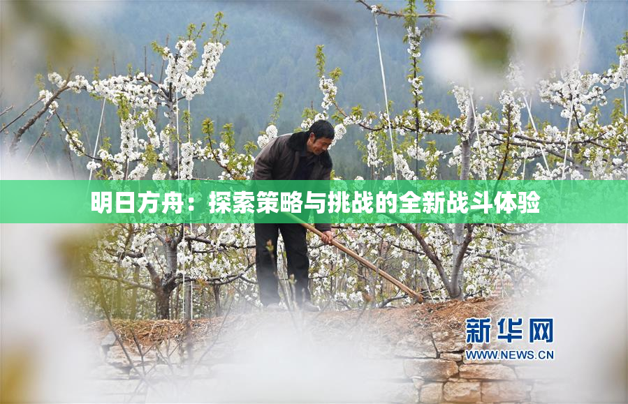 明日方舟：探索策略与挑战的全新战斗体验
