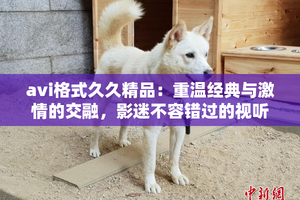 avi格式久久精品：重温经典与激情的交融，影迷不容错过的视听盛宴