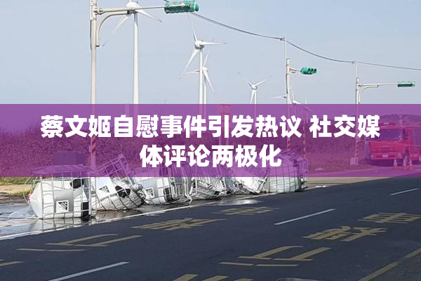 蔡文姬自慰事件引发热议 社交媒体评论两极化
