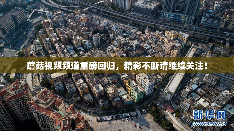 蘑菇视频频道重磅回归，精彩不断请继续关注！