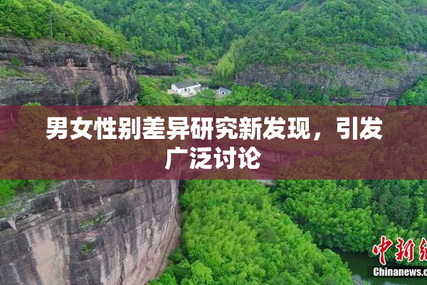 男女性别差异研究新发现，引发广泛讨论