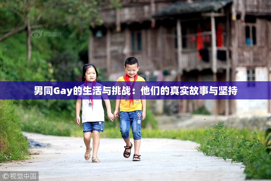 男同Gay的生活与挑战：他们的真实故事与坚持