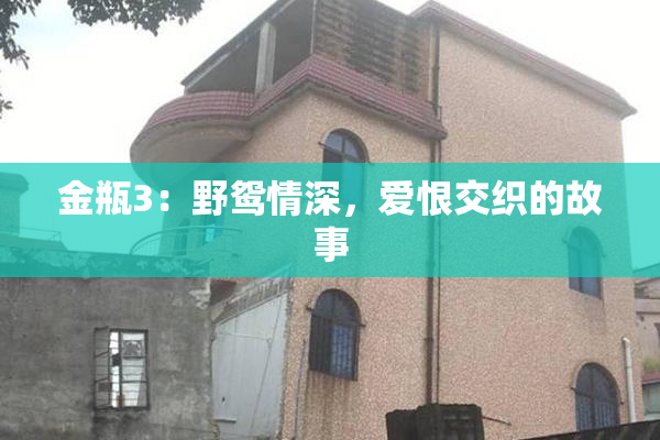 金瓶3：野鸳情深，爱恨交织的故事