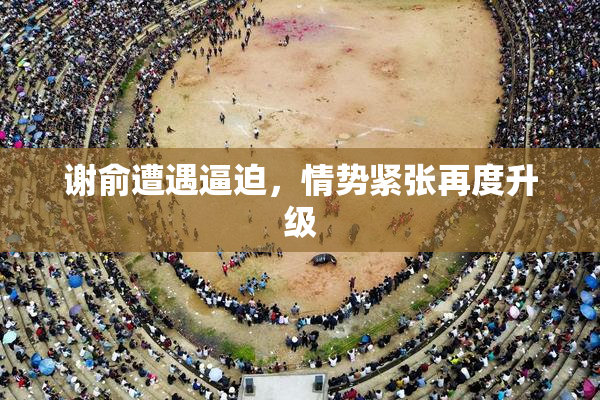 谢俞遭遇逼迫，情势紧张再度升级