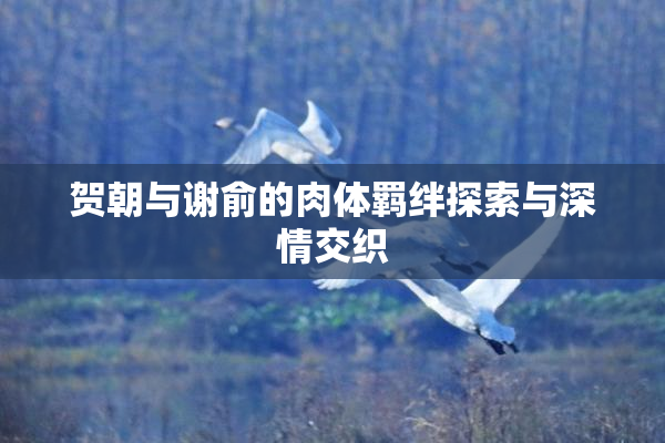 贺朝与谢俞的肉体羁绊探索与深情交织