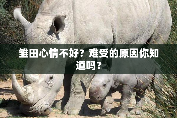雏田心情不好？难受的原因你知道吗？