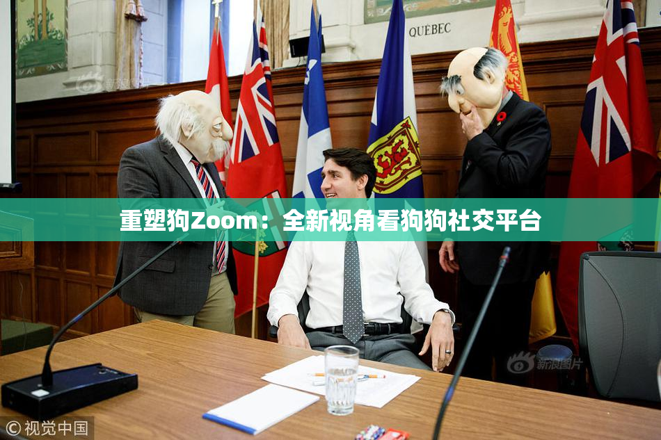 重塑狗Zoom：全新视角看狗狗社交平台