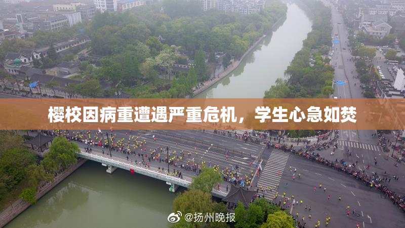 樱校因病重遭遇严重危机，学生心急如焚