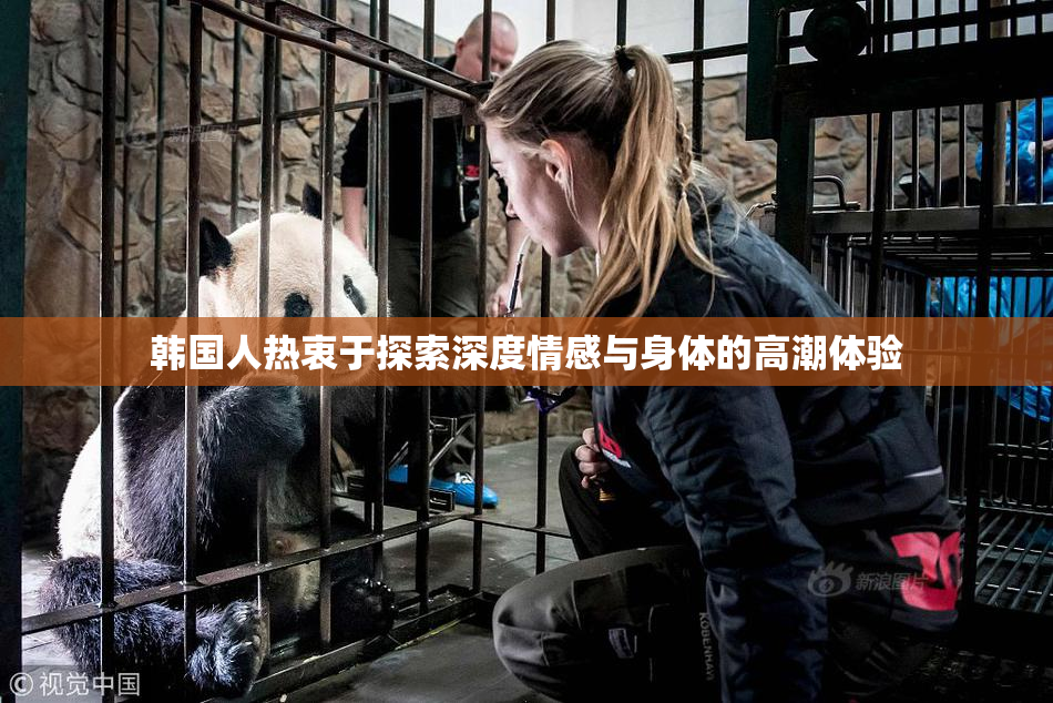 韩国人热衷于探索深度情感与身体的高潮体验