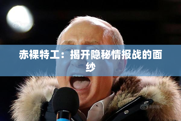 赤裸特工：揭开隐秘情报战的面纱