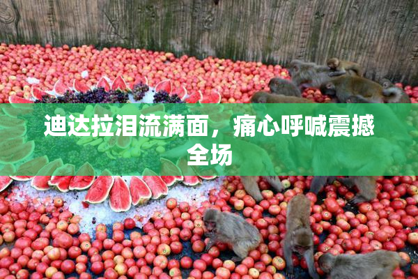 迪达拉泪流满面，痛心呼喊震撼全场
