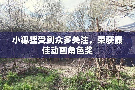 小狐狸受到众多关注，荣获最佳动画角色奖