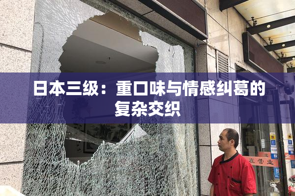 日本三级：重口味与情感纠葛的复杂交织