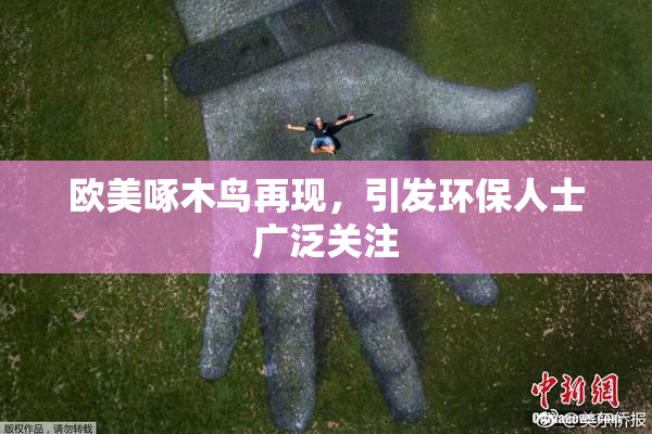 欧美啄木鸟再现，引发环保人士广泛关注