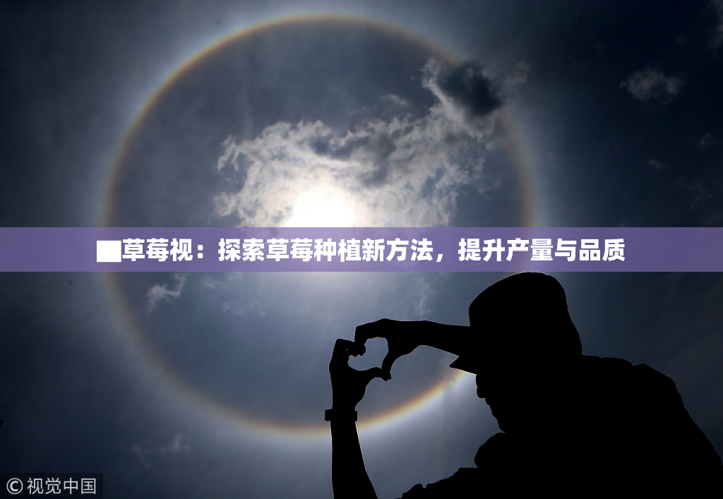 ▇草莓视：探索草莓种植新方法，提升产量与品质