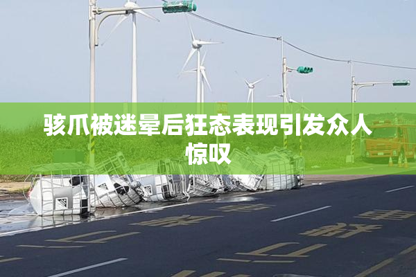 骇爪被迷晕后狂态表现引发众人惊叹