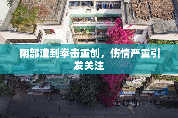 阴部遭到拳击重创，伤情严重引发关注