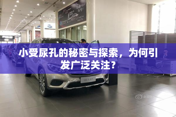 小受尿孔的秘密与探索，为何引发广泛关注？