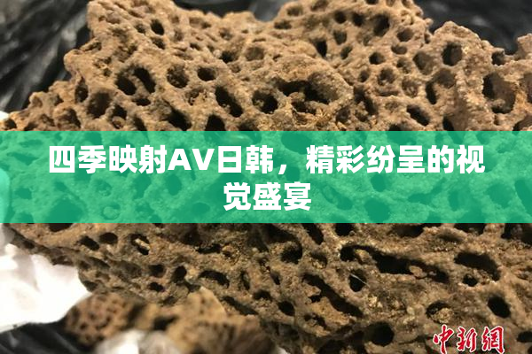 四季映射AV日韩，精彩纷呈的视觉盛宴