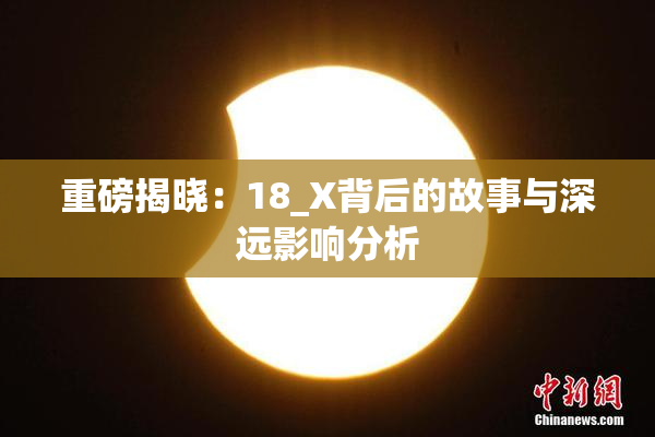 重磅揭晓：18_X背后的故事与深远影响分析