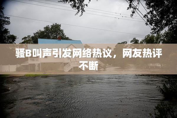 骚B叫声引发网络热议，网友热评不断