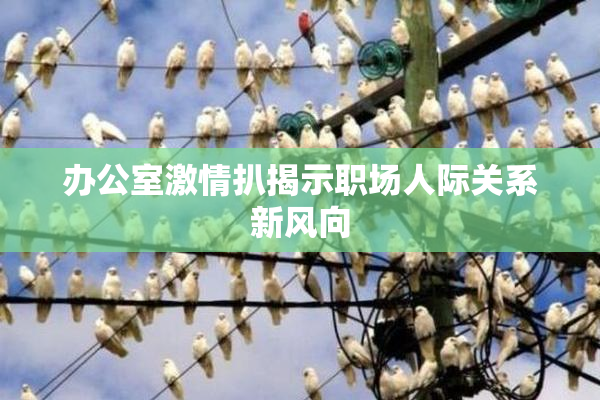 办公室激情扒揭示职场人际关系新风向