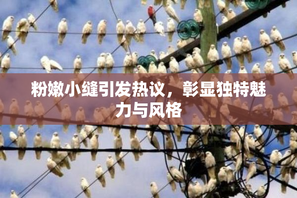 粉嫩小缝引发热议，彰显独特魅力与风格
