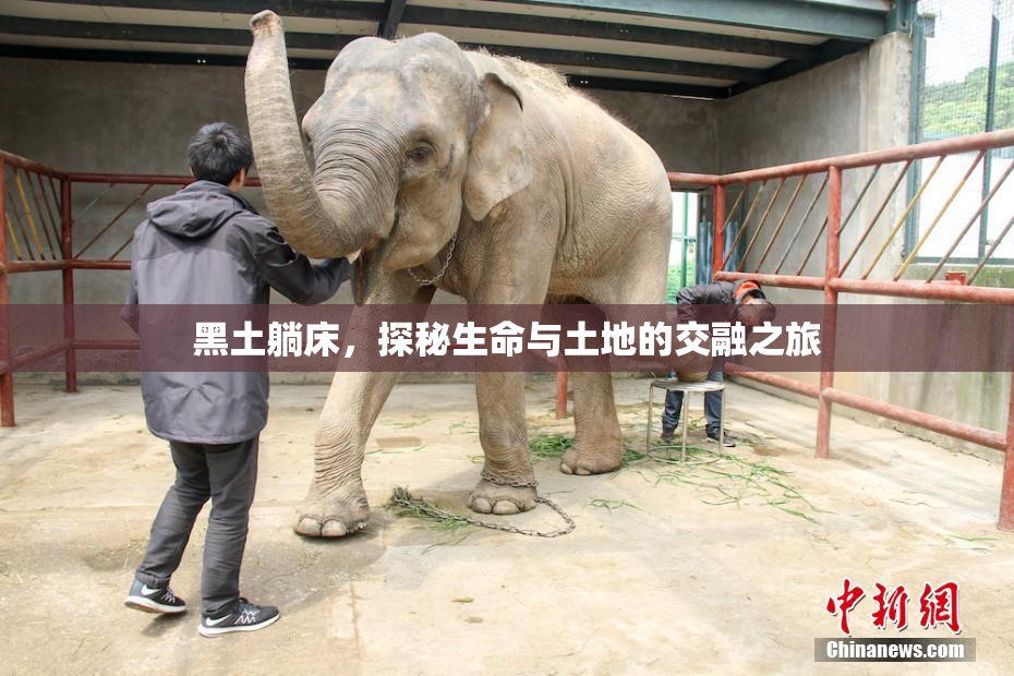 黑土躺床，探秘生命与土地的交融之旅