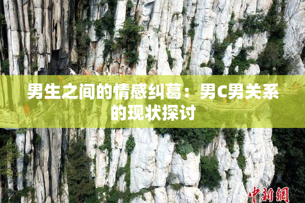 男生之间的情感纠葛：男C男关系的现状探讨
