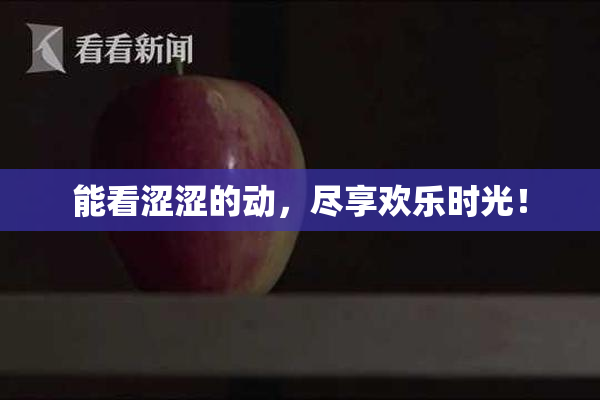 能看涩涩的动，尽享欢乐时光！