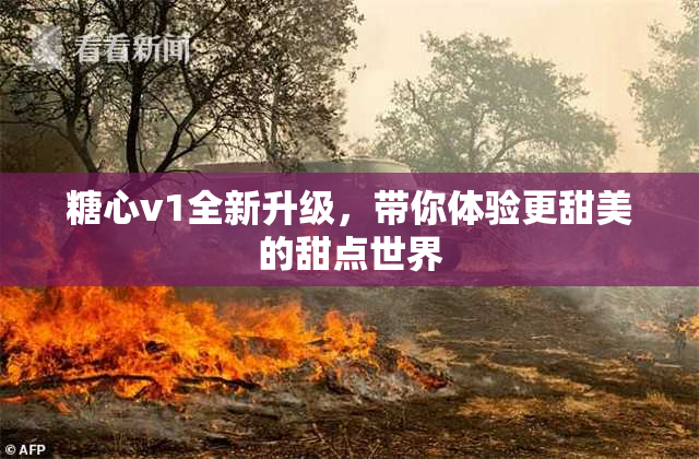 糖心v1全新升级，带你体验更甜美的甜点世界